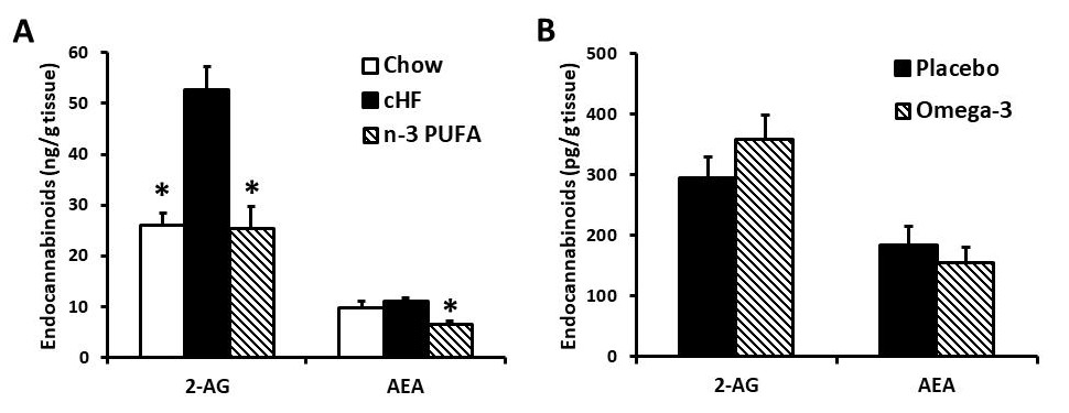 n-3 PUFA differentially modulate adipose tissue endocannabinoid levels and glucose metabolism in obese mice and type 2 diabetic subjects - rossmeisl