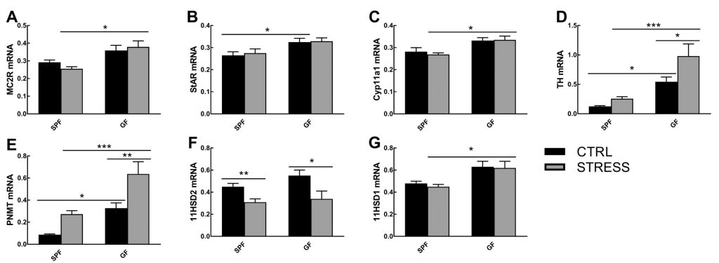 The effect of gut microbiome on expression of genes involved in regulation of stress response in chronic stress - vodicka 2018 popul fig 2 scaled 1