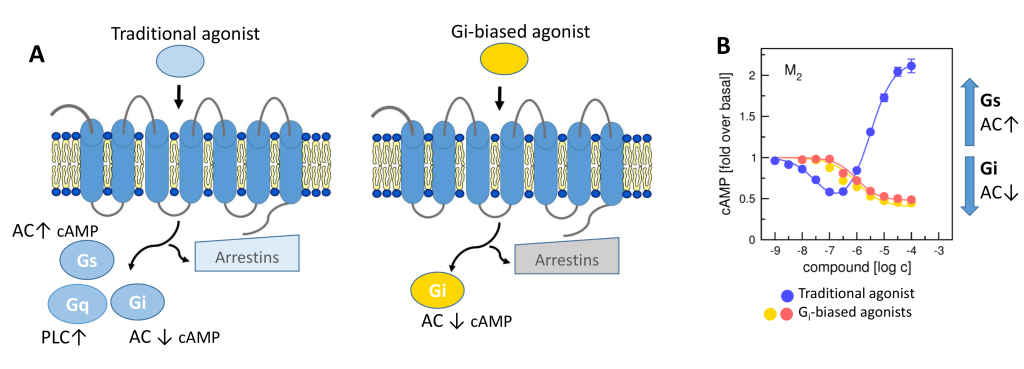 Signalling bias as the way to side-effect-free medication - bias picture 2 1