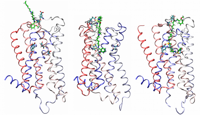 Neurochemie - 9uba725cfl5fh5qrt70u