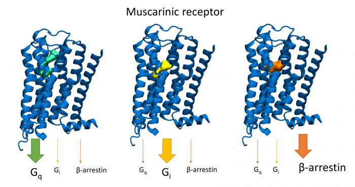 Neurochemie - a9b5vai9lura4ekzlfqm