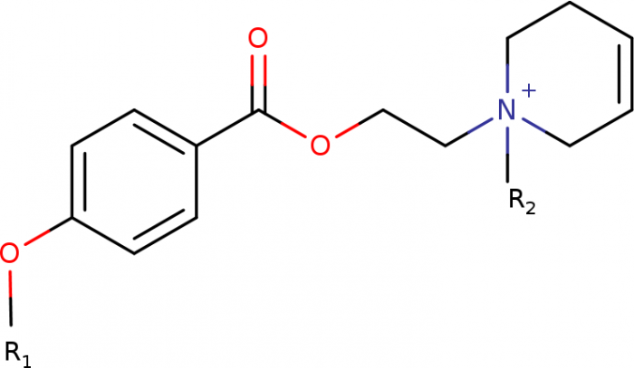 Neurochemie - b1qijicw317d317gg4tn