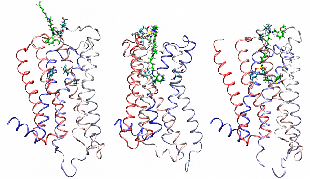 Neurochemie - fig 10 new 1