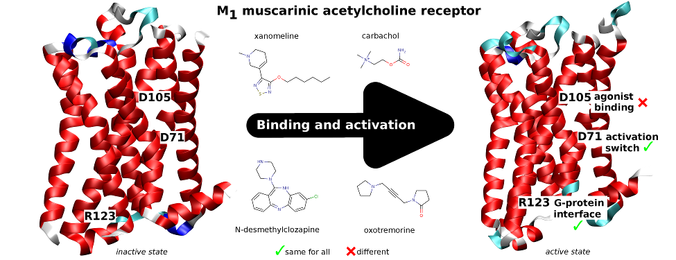 Neurochemie - graphical abstract 2