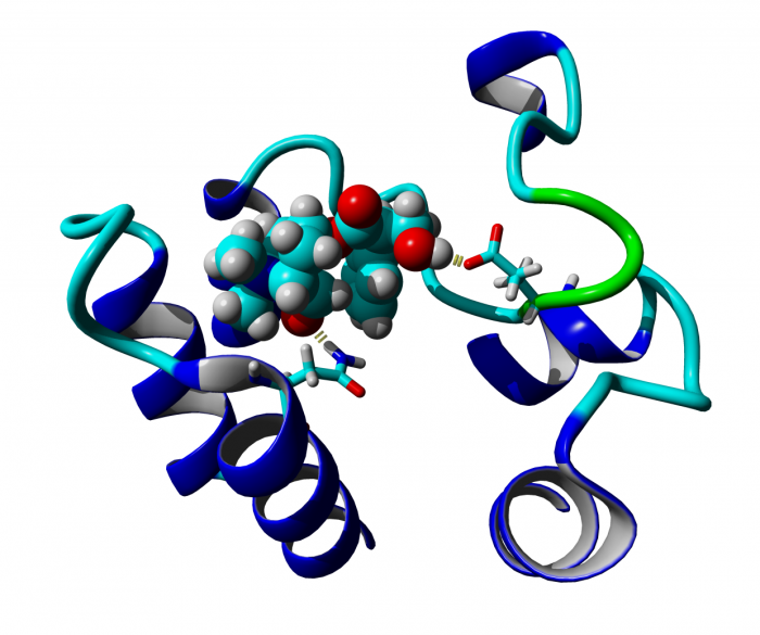 Neurochemie - ltmnyr6f1d1ubjrhrjel