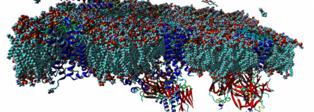 Laboratory of Neurochemistry - stazeny soubor 3