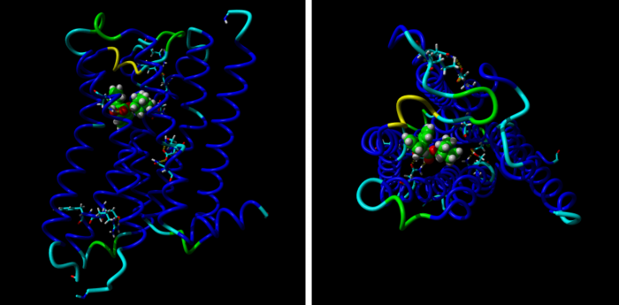 Laboratory of Neurochemistry -