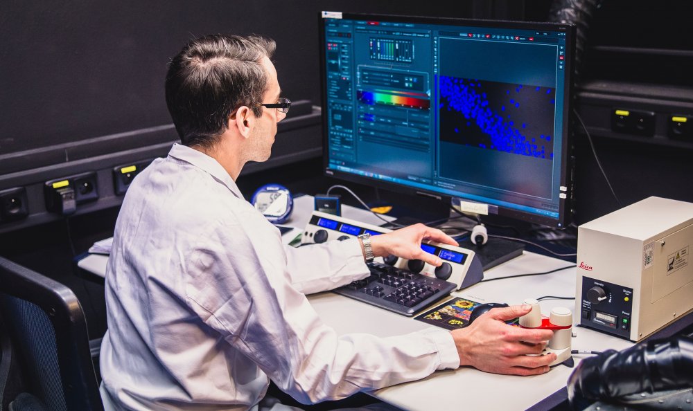 Laboratory of Neurophysiology of Memory - yla0jm8cnh9qb2hs5hfd