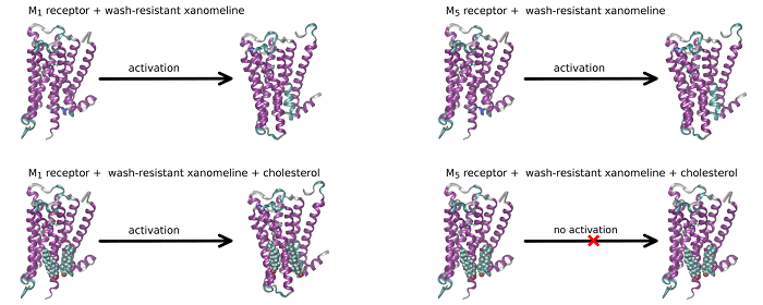 Neurochemie -