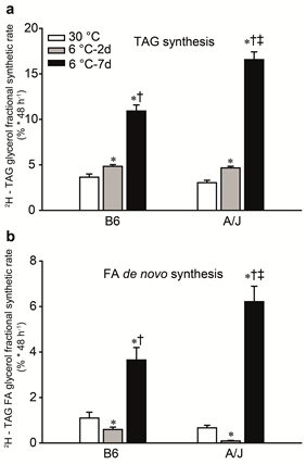 Correlation between resistance to obesity and lipid synthesis in adipose tissue - 2017 07 19 07 33 361