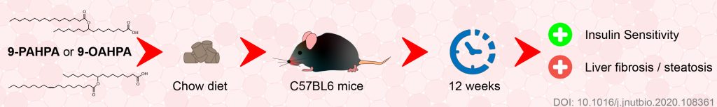 Branched fatty acid esters of hydroxy fatty acids (FAHFA) - banner benlebna 02