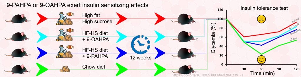 Branched fatty acid esters of hydroxy fatty acids (FAHFA) - banner benlebna2020