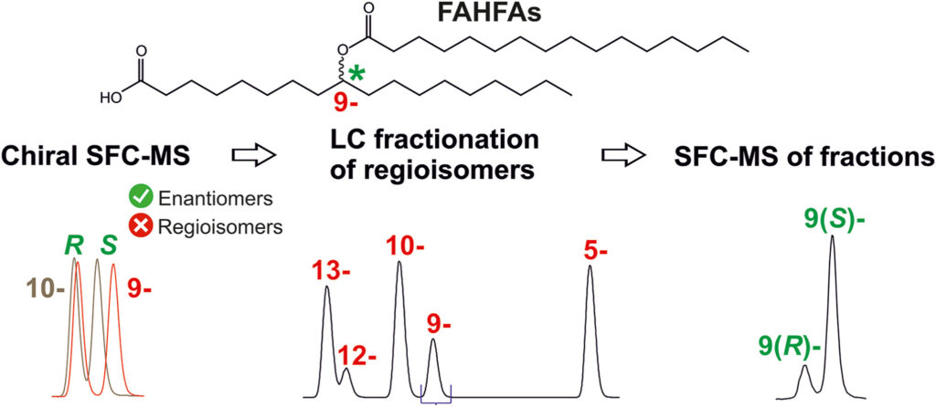 First report of chiral SFC separation of fatty acid esters of hydroxy fatty acids