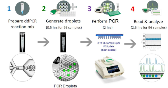 QX200 Droplet Digital PCR System - e