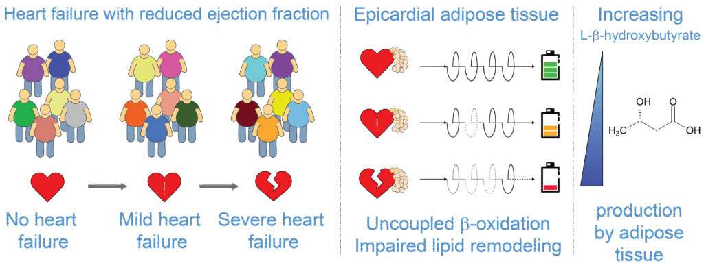 Metabolomika, lipidomika a fluxomika 9 Metabolomika, lipidomika a fluxomika - fgu019 riecan 2025