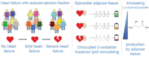 Metabolomics, lipidomics and fluxomics - fgu019 riecan 2025