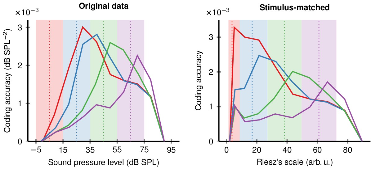 Adaptation of the aural neuron code to statistics of stimulus - fig fgu