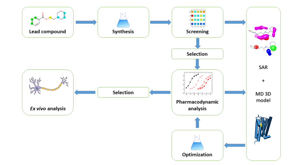 Structure-activity guided design of novel long-acting antagonists of muscarinic receptors - ga