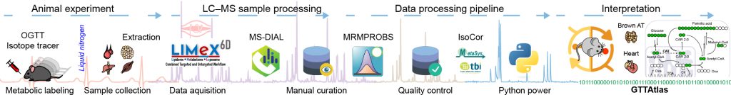 Metabolomika, lipidomika a fluxomika - gttatlas web banner 01