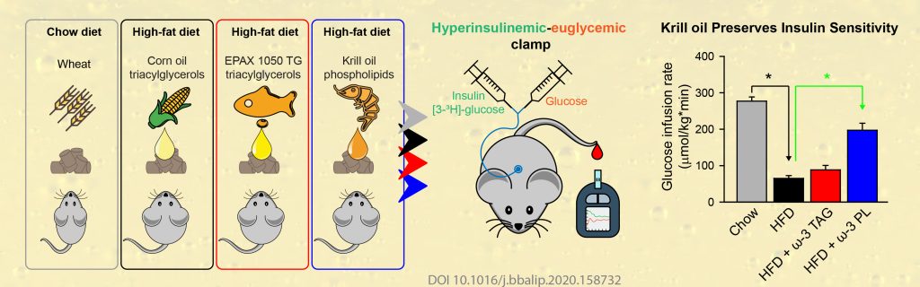 Omega-3 polyunsaturated fatty acids - krill oil clamps