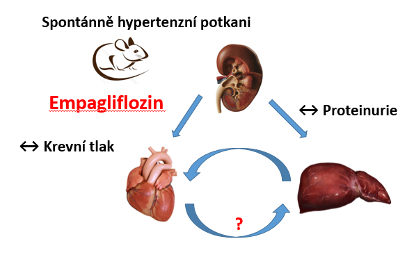 Pro média - vaneckova ikona