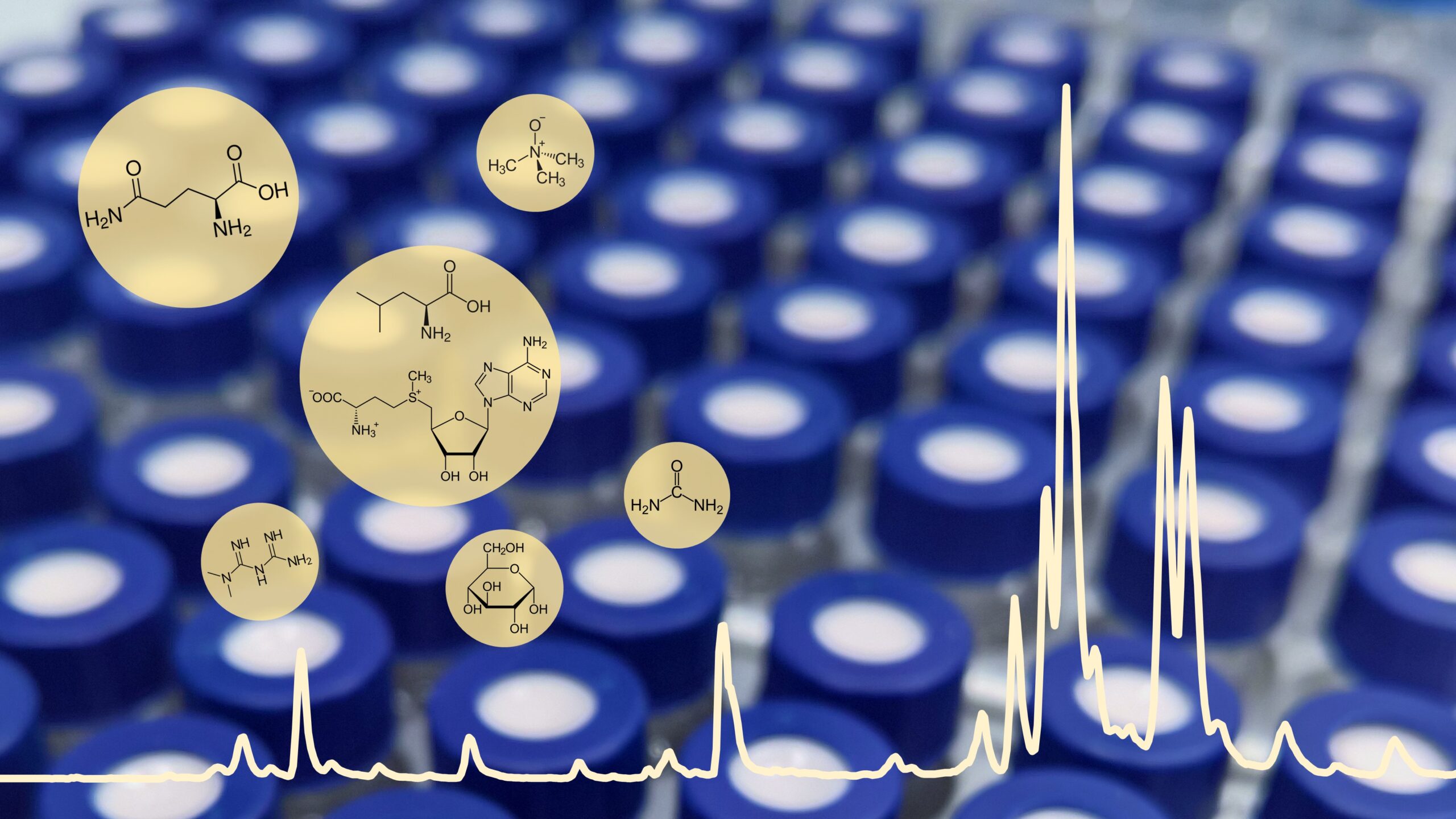 Aktuality - 1 mtb lab fig 2025 05 09 scaled