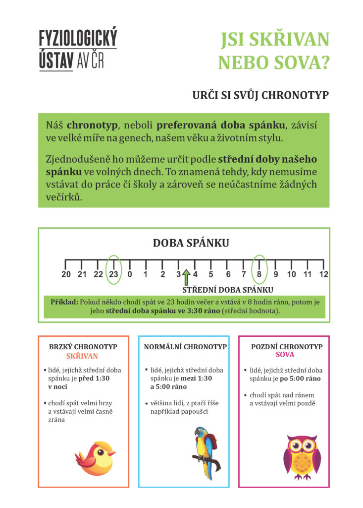 Try it out - letacek chronotyp novy final stranka 1