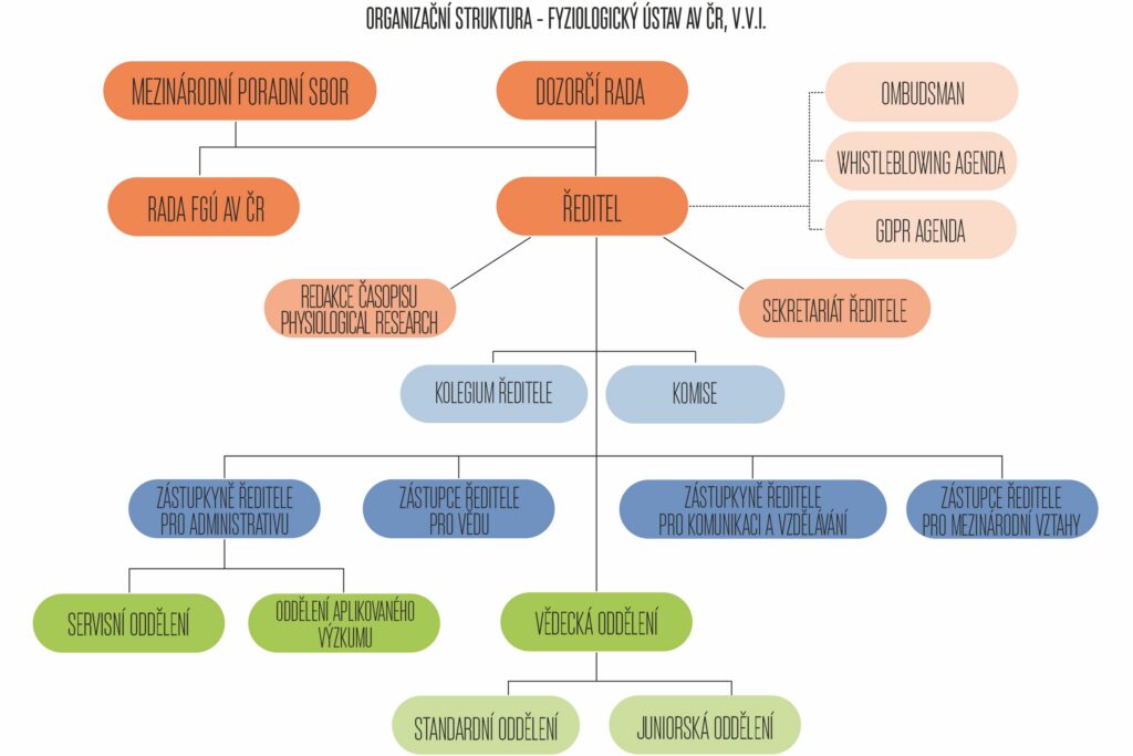 Vedení a struktura - fgu organizacni schema 2025 cz