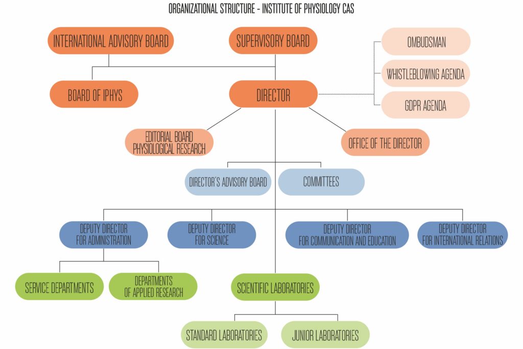 Management and organizational structure - fgu organizacni schema 2025 en
