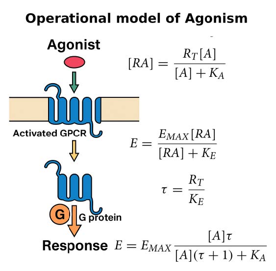 Neurochemie 5 Neurochemie - 1808202503