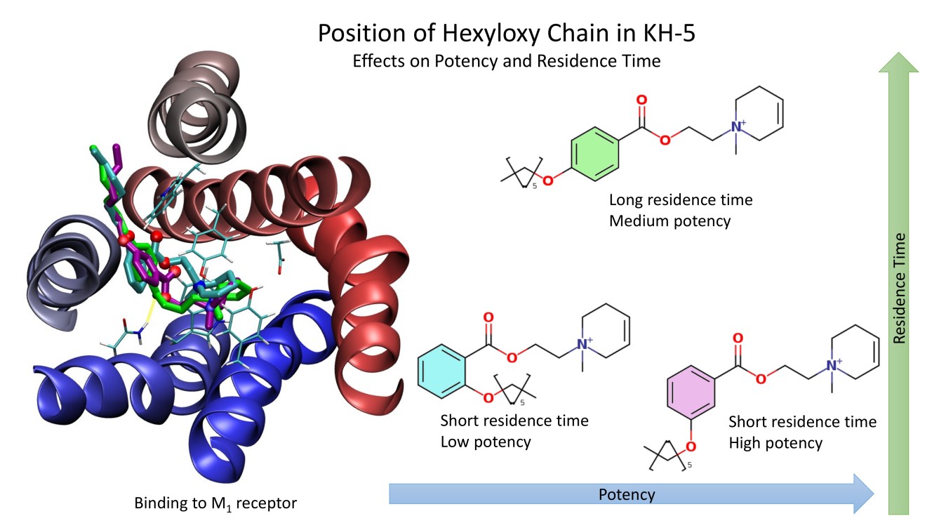 Neurochemie 6 Neurochemie - 1808202504