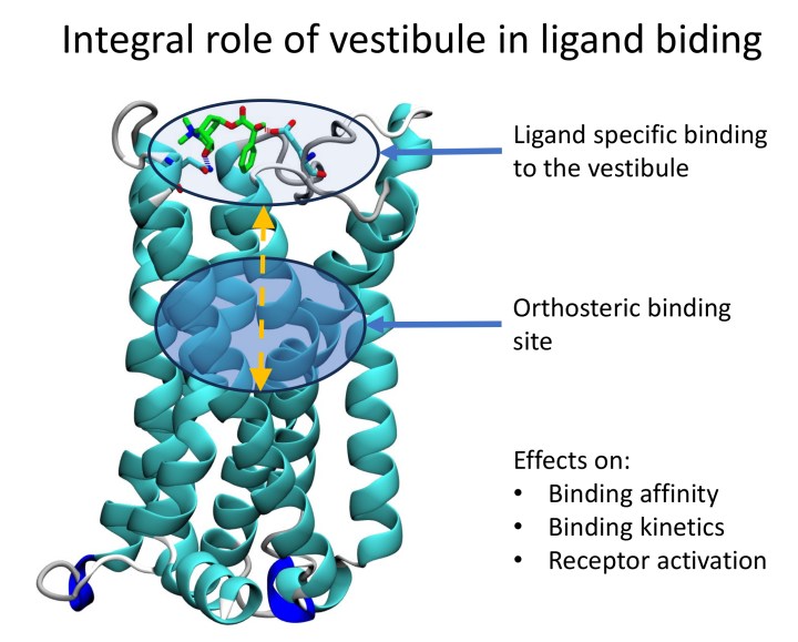 Neurochemie 7 Neurochemie - 1808202505