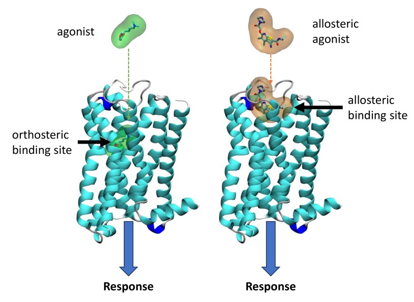 Neurochemie 9 Neurochemie - 1808202507