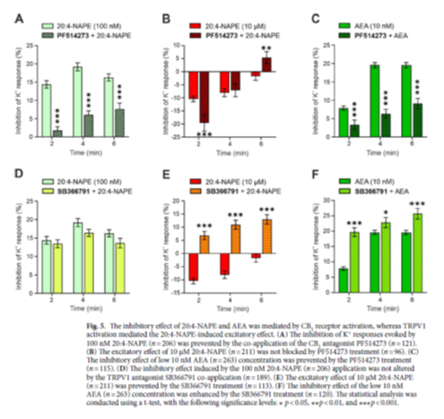 20:4-NAPE induced changes of mechanical sensitivity and DRG neurons excitability are concentration dependent and mediated via NAPE-PLD. 1 20:4-NAPE induced changes of mechanical sensitivity and DRG neurons excitability are concentration dependent and mediated via NAPE-PLD. - obrazek painresearch