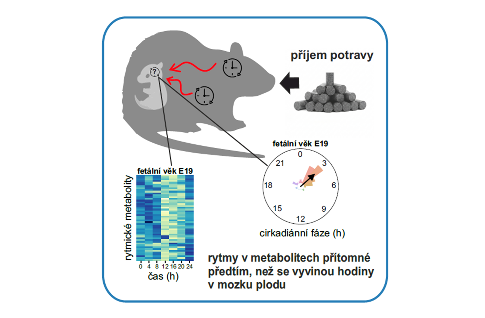 Pro média - obrazek1 cz