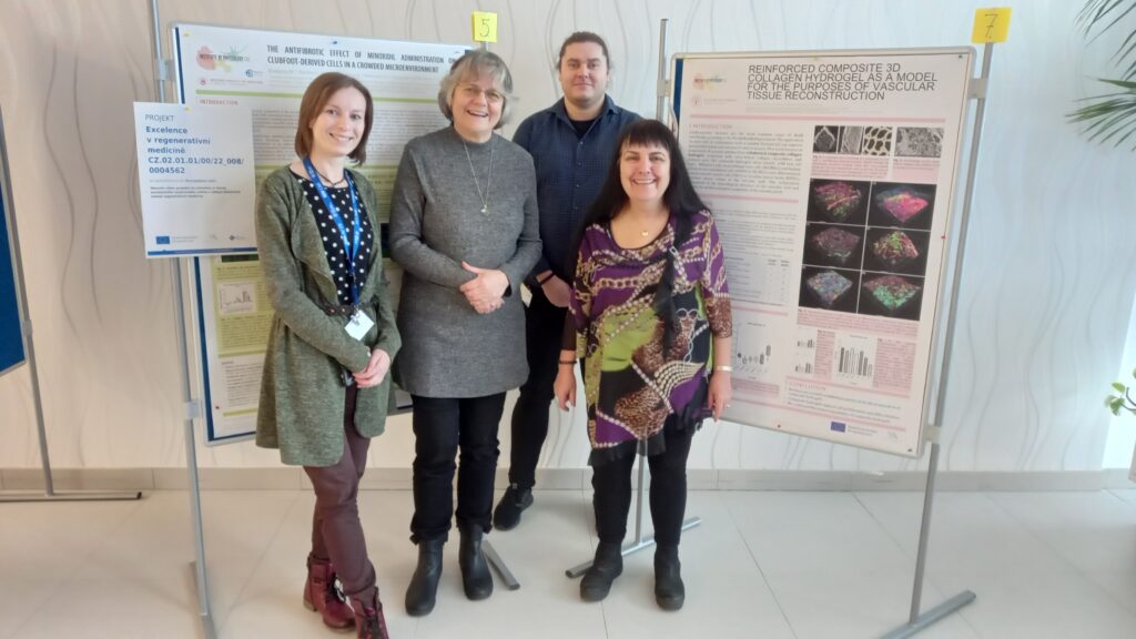 2023-biocev-regeneration-meeting