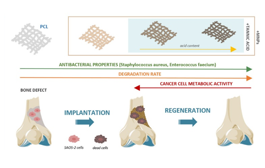 Home - web imllustration