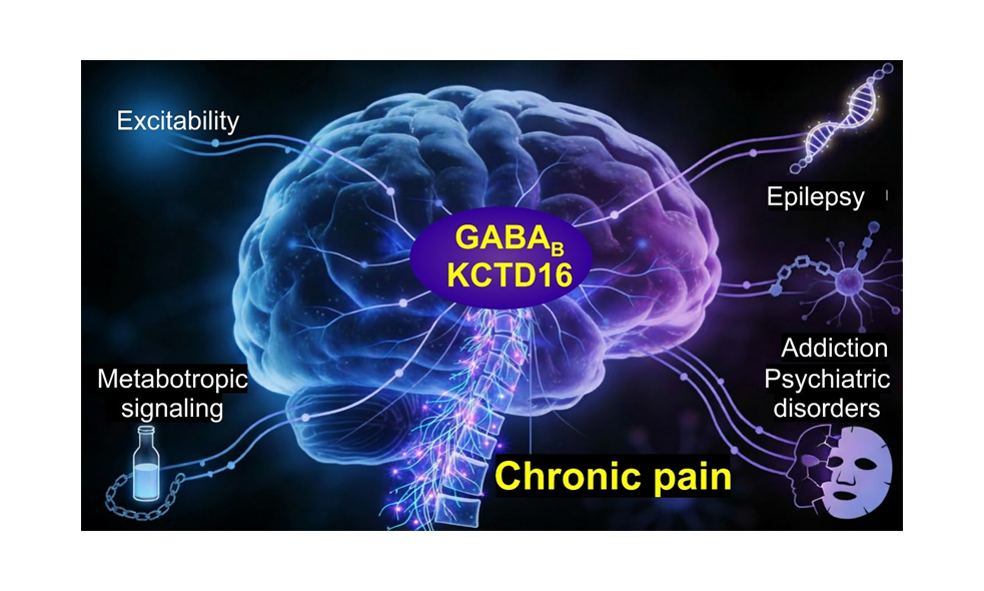 Home - palecek ilustracni