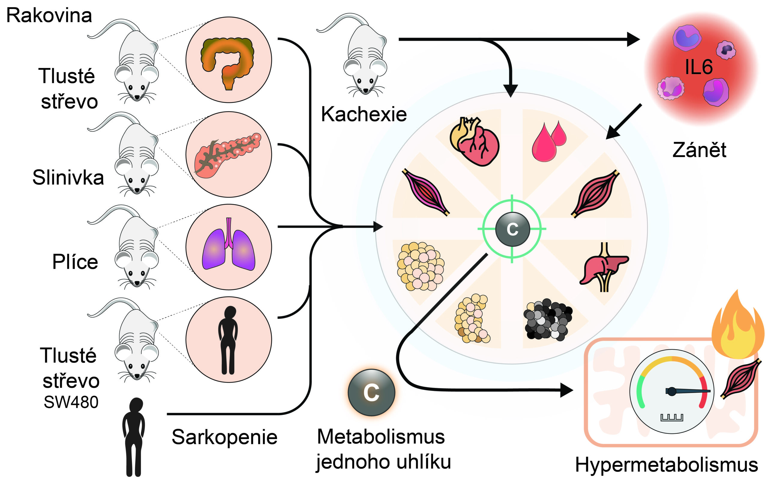 Úvod - iphys obrazekcz morigny2026 scaled