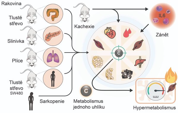 Úvod - iphys obrazekcz morigny2026 thumbnail