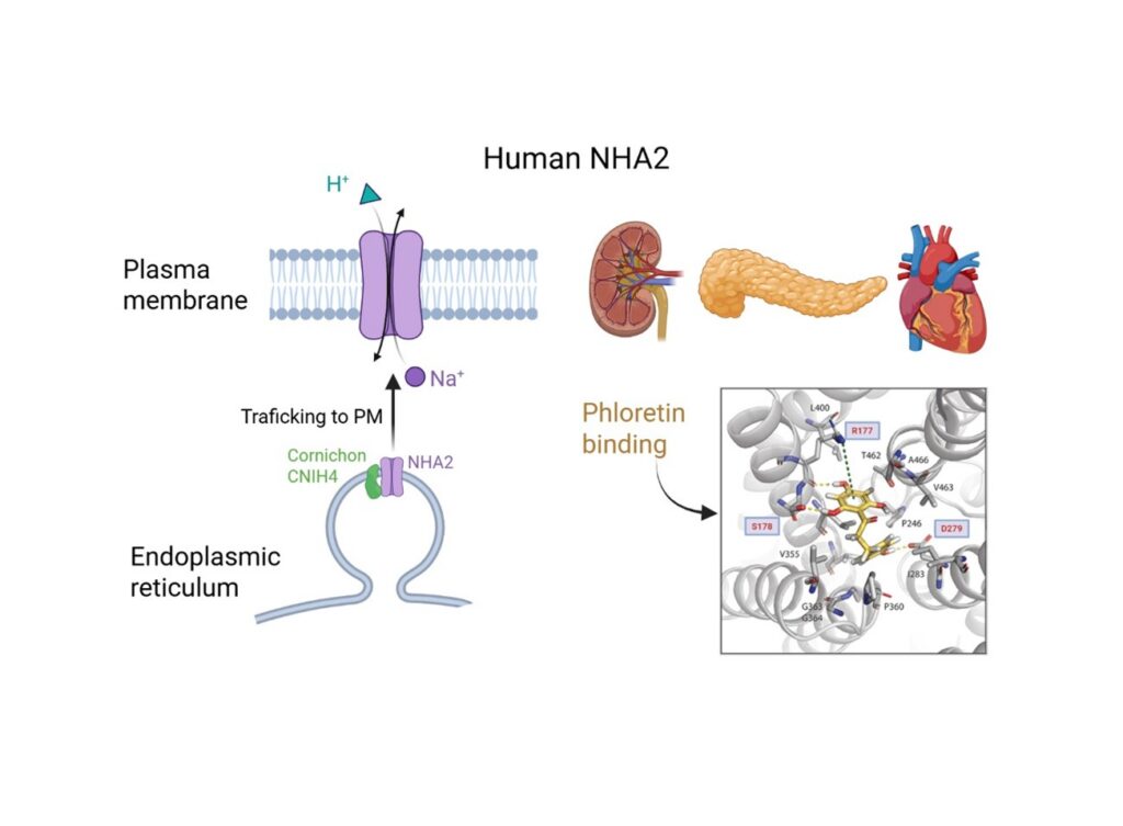 Home - dlazdice nha2