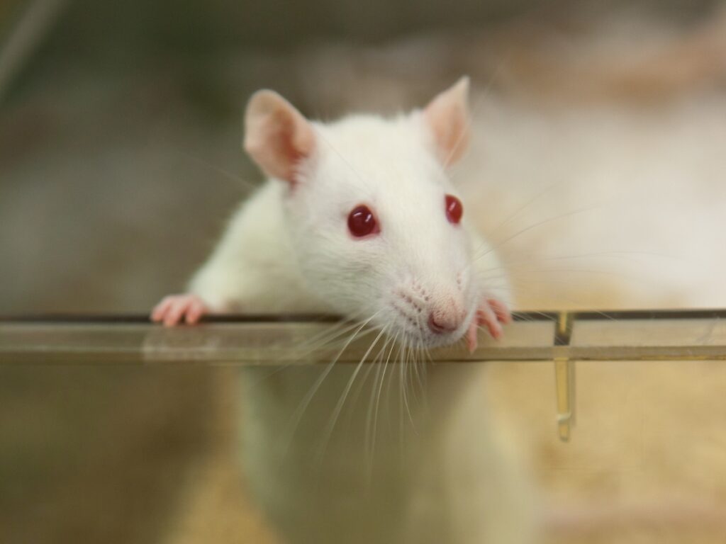 Servisní oddělení - web 1600 x 1200 px 5