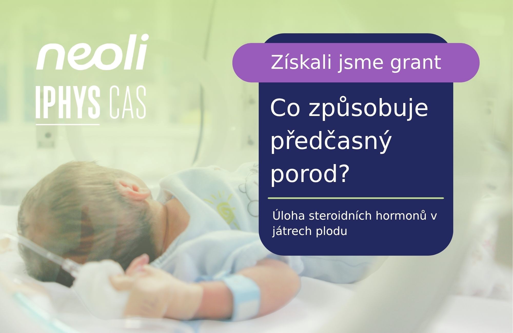Úvod - dlazdice cz